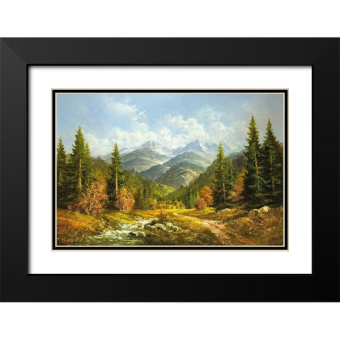 BROOK IN THE MOUNTAINS Black Modern Wood Framed Art Print with Double Matting by Glassl, Helmut