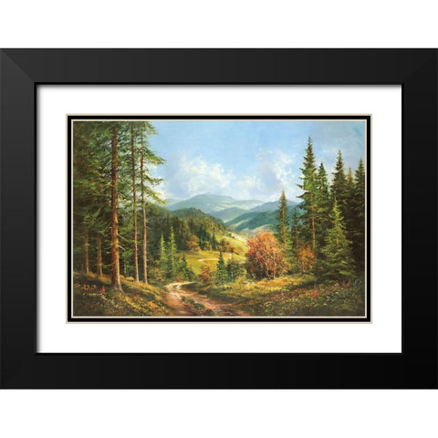 ROMANTIC VALLEY Black Modern Wood Framed Art Print with Double Matting by Glassl, Helmut