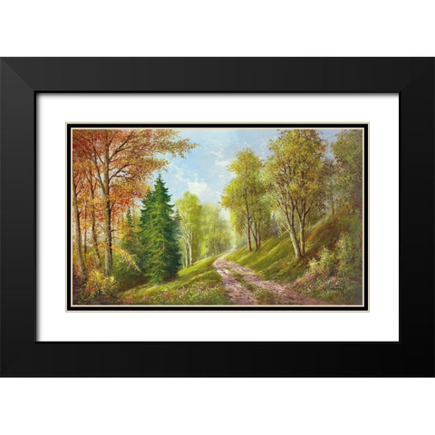 MOUNTAIN PATH Black Modern Wood Framed Art Print with Double Matting by Glassl, Helmut
