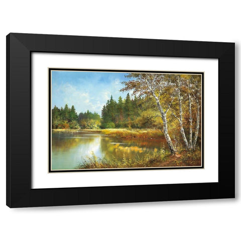 SECRET POND Black Modern Wood Framed Art Print with Double Matting by Glassl, Helmut