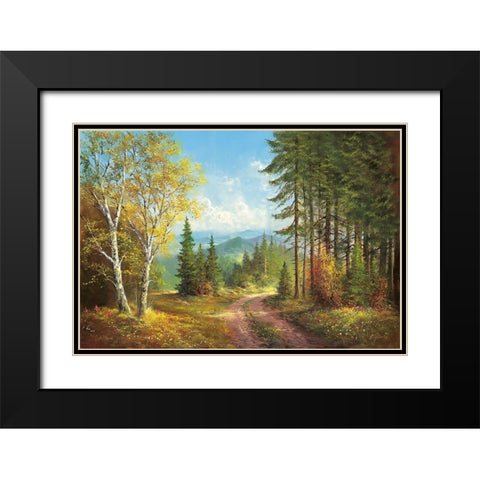 AWAY FROM IT ALL Black Modern Wood Framed Art Print with Double Matting by Glassl, Helmut