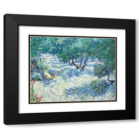 Van Gogh, Vincent Black Modern Wood Framed Art Print with Double Matting by Olive Orchard