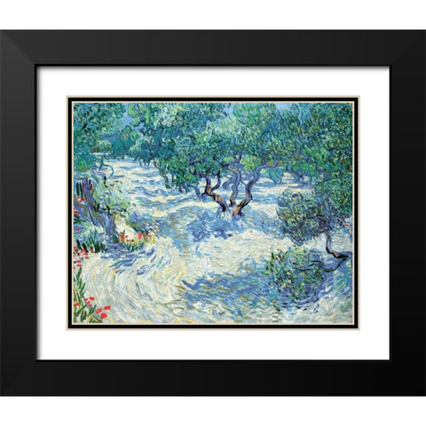 Van Gogh, Vincent Black Modern Wood Framed Art Print with Double Matting by Olive Orchard