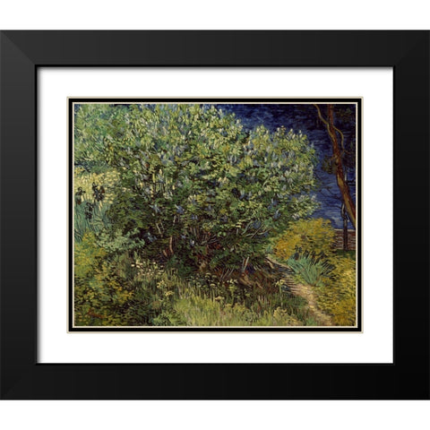 Lilac Bush, 1889 Black Modern Wood Framed Art Print with Double Matting by Van Gogh, Vincent