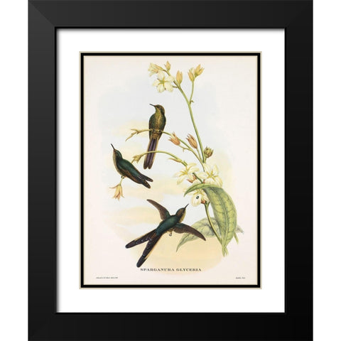 Sparganura Glyceria Black Modern Wood Framed Art Print with Double Matting by Ashley, Aaron