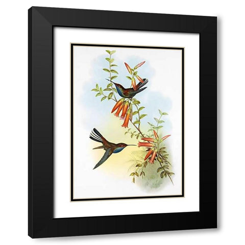UroMuseumoa Bougieri Black Modern Wood Framed Art Print with Double Matting by Ashley, Aaron