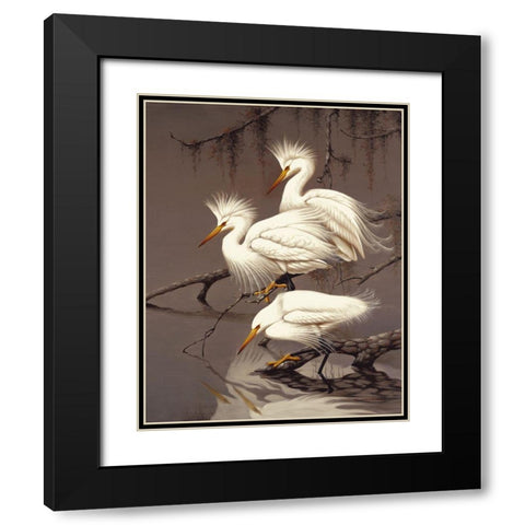 Snowy Egrets Black Modern Wood Framed Art Print with Double Matting by Robertson,