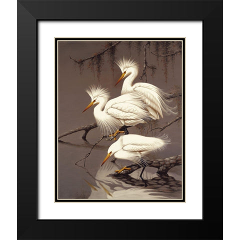 Snowy Egrets Black Modern Wood Framed Art Print with Double Matting by Robertson,