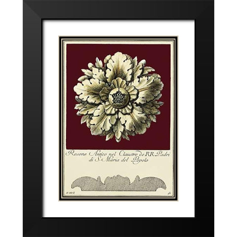 Rosone Antico II Black Modern Wood Framed Art Print with Double Matting by Guerra
