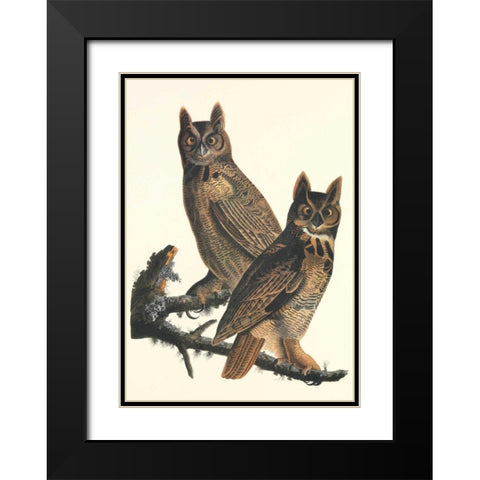 Great Horned Owl Black Modern Wood Framed Art Print with Double Matting by Audubon, John James