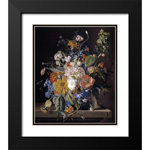 Poppies, Hollyhock, Morning Glory, Viola, Daisies Black Modern Wood Framed Art Print with Double Matting by Van Huysum, Jan