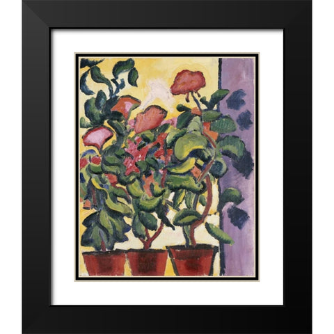 Geranium Am Fenster Black Modern Wood Framed Art Print with Double Matting by Macke, August