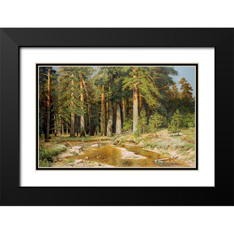 The Mast-Tree Grove, Study Black Modern Wood Framed Art Print with Double Matting by Shishkin, Ivan Ivanovich