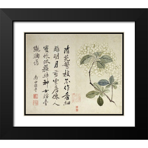 Hydrangeas Black Modern Wood Framed Art Print with Double Matting by Shouping, Yun