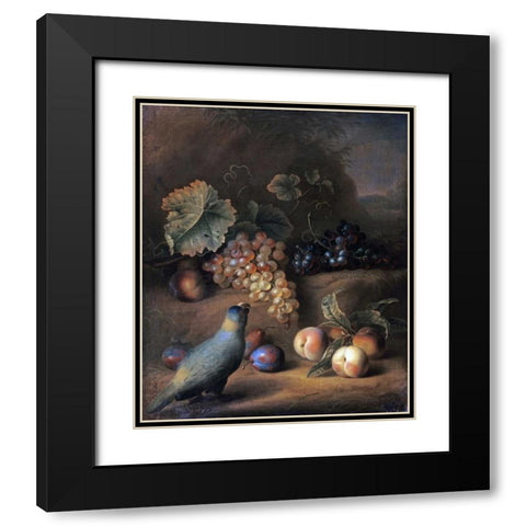 A Parrot With Grapes, Peaches and Plums In a Landscape Black Modern Wood Framed Art Print with Double Matting by Stranover, Tobias
