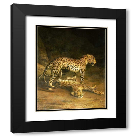 Two Leopards Lying In The Exeter Exchange Black Modern Wood Framed Art Print with Double Matting by Agasse, Jacques-Laurent
