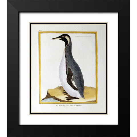 A Penguin, Falkland Islands Black Modern Wood Framed Art Print with Double Matting by Buffon, Georges-Louis Leclerc
