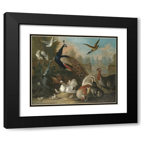 A Peacock and Other Birds Black Modern Wood Framed Art Print with Double Matting by Craddock, Marmaduke