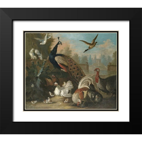 A Peacock and Other Birds Black Modern Wood Framed Art Print with Double Matting by Craddock, Marmaduke