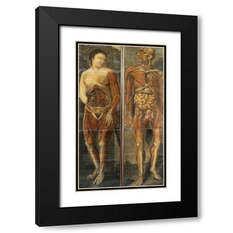 Anatomical Drawings of Male and Female Figures Black Modern Wood Framed Art Print with Double Matting by Dagoty, Jacques Fabian Gautier