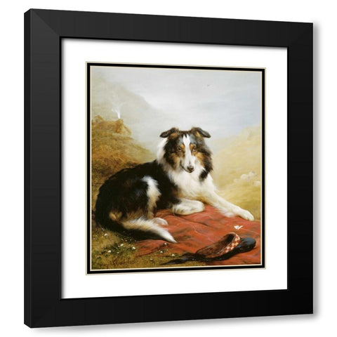 A Collie, The Guardian of The Flock Black Modern Wood Framed Art Print with Double Matting by Douglas, Edwin