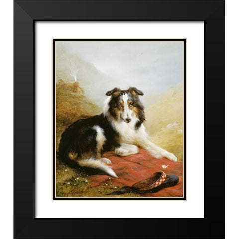 A Collie, The Guardian of The Flock Black Modern Wood Framed Art Print with Double Matting by Douglas, Edwin