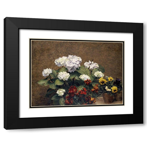 Hydrangeas, Wallflowers and Two Pots of Pansies Black Modern Wood Framed Art Print with Double Matting by Fantin-Latour, Henri