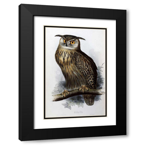 Eagle Owl Black Modern Wood Framed Art Print with Double Matting by Glover, John
