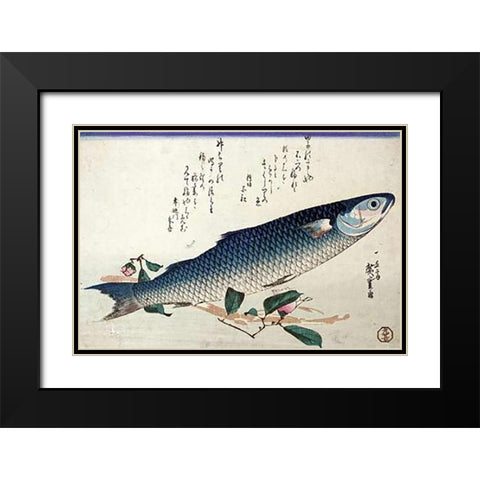 A Design From a Large Fish Series Black Modern Wood Framed Art Print with Double Matting by Hiroshige