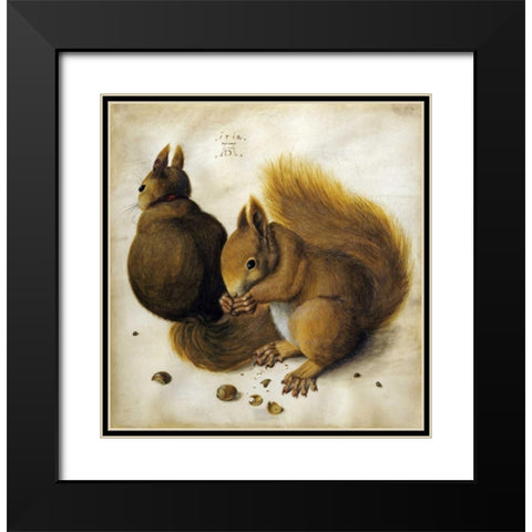 Two Squirrels, One Eating a Hazelnut Black Modern Wood Framed Art Print with Double Matting by Durer, Albrecht