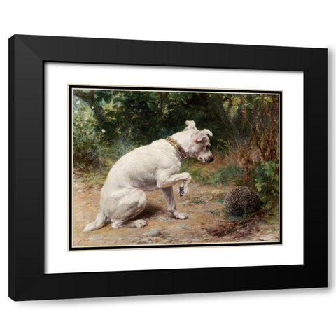 A Prickly Problem Black Modern Wood Framed Art Print with Double Matting by Holmes, George Augustus