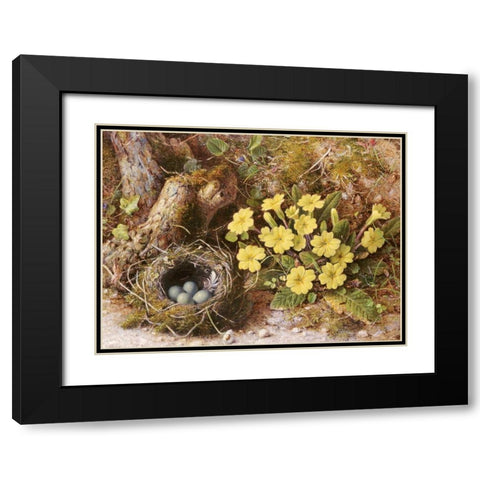 Still Life With a Birds Nest Black Modern Wood Framed Art Print with Double Matting by Hough, William B.