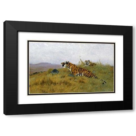 Tigers Stalking Their Prey Black Modern Wood Framed Art Print with Double Matting by Kuhnert, Wilhelm