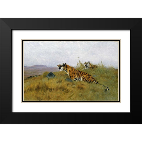 Tigers Stalking Their Prey Black Modern Wood Framed Art Print with Double Matting by Kuhnert, Wilhelm