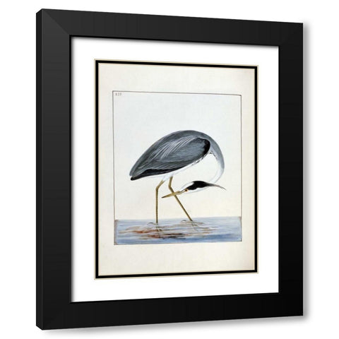 Heron Black Modern Wood Framed Art Print with Double Matting by Lewin, William