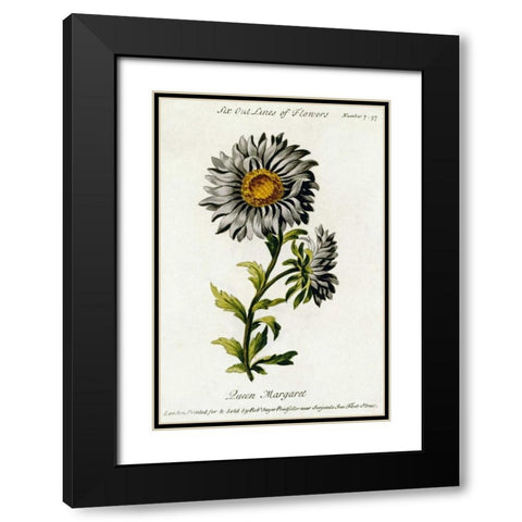 Queen Margaret Black Modern Wood Framed Art Print with Double Matting by Parkinson, Thomas