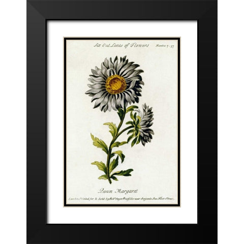 Queen Margaret Black Modern Wood Framed Art Print with Double Matting by Parkinson, Thomas