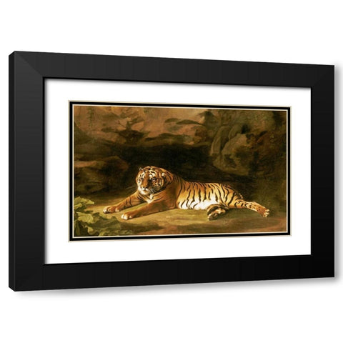Portrait of The Royal Tiger Black Modern Wood Framed Art Print with Double Matting by Stubbs, George