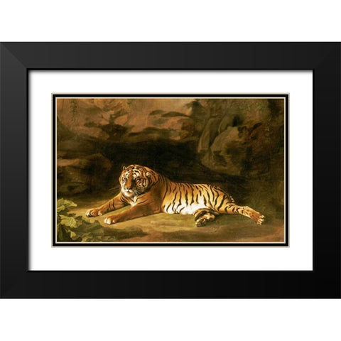 Portrait of The Royal Tiger Black Modern Wood Framed Art Print with Double Matting by Stubbs, George