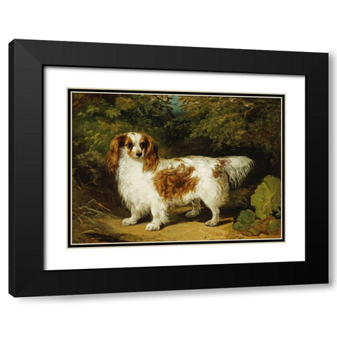 A Blenheim Cavalier King Charles Spaniel Black Modern Wood Framed Art Print with Double Matting by Willis, H.