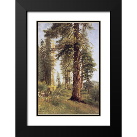 California Redwoods Black Modern Wood Framed Art Print with Double Matting by Bierstadt, Albert