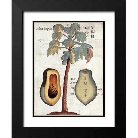 Papaya Tree Black Modern Wood Framed Art Print with Double Matting by Boym, Michael