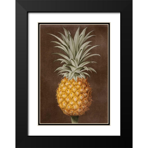 Pineapple Black Modern Wood Framed Art Print with Double Matting by Brookshaw, George