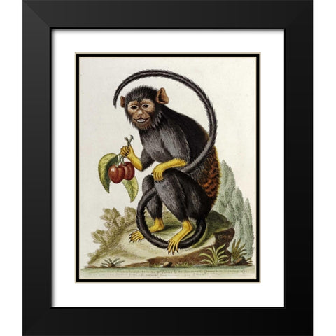 A Little Black Monkey Black Modern Wood Framed Art Print with Double Matting by Edwards, George