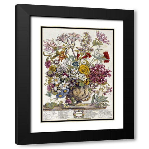 October - Twelve Months of Flowers Black Modern Wood Framed Art Print with Double Matting by Furber, Robert
