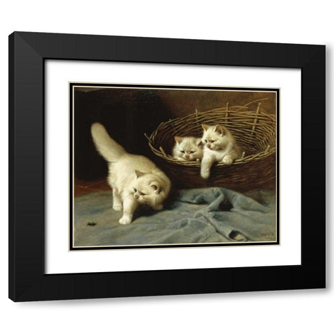 White Angora Kittens With a Beetle Black Modern Wood Framed Art Print with Double Matting by Heyer, Arthur