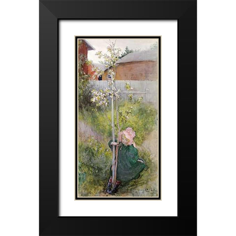 Appleblossom Black Modern Wood Framed Art Print with Double Matting by Larsson, Carl