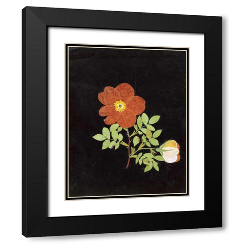 Cut Out Watercolour of a Flower Black Modern Wood Framed Art Print with Double Matting by Nash, Margaret