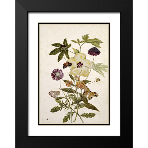 Milkweed, Poppy and Hibiscus Black Modern Wood Framed Art Print with Double Matting by Robins, Thomas Jr.