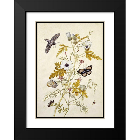 Scabious and a Cupid Flower Black Modern Wood Framed Art Print with Double Matting by Robins, Thomas Jr.
